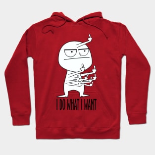 I Do What I Want Hoodie